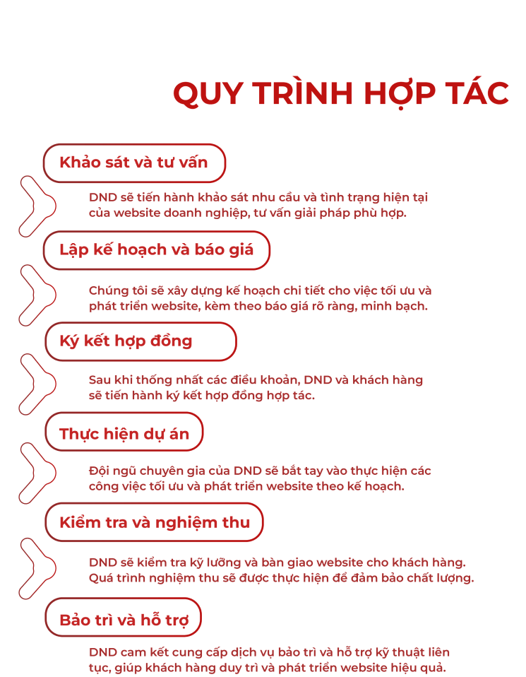 Tăng trưởng bền vững với giải pháp website toàn diện từ DITECO